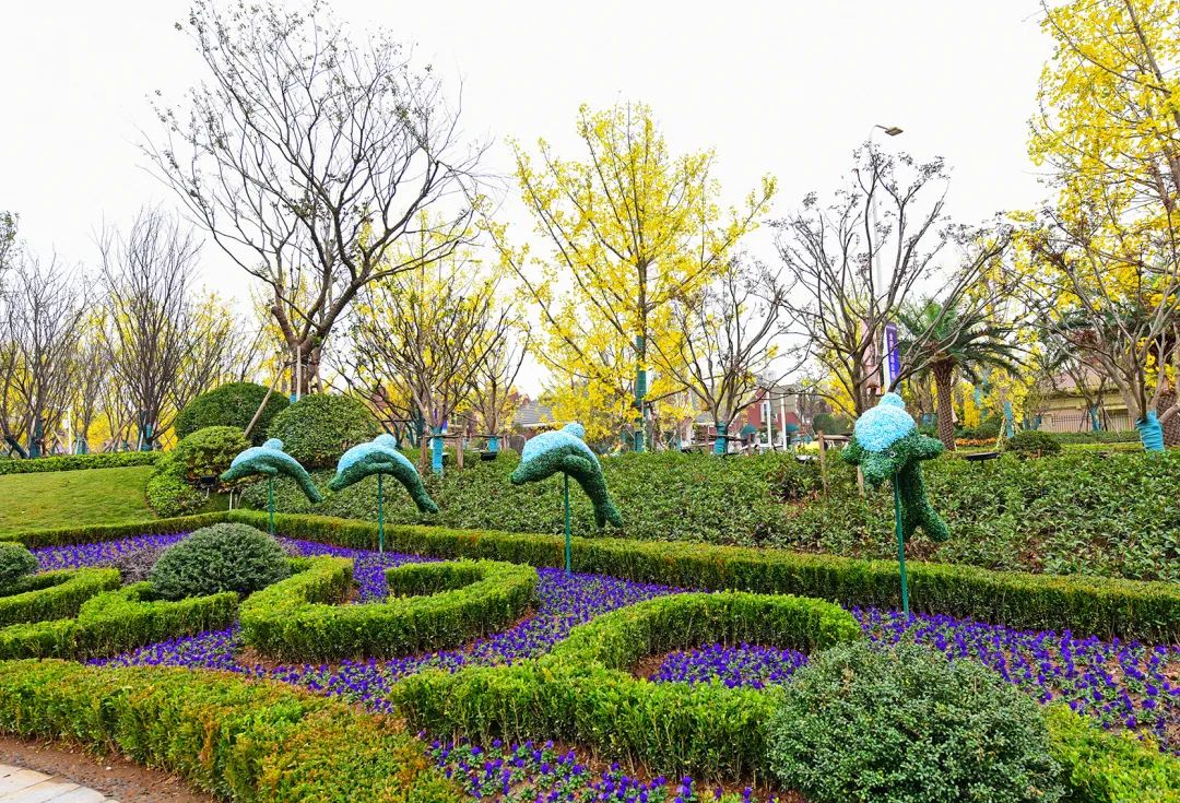 武汉江夏恒大科技旅游城怎么样,武汉恒大科技旅游城现在怎么样了
