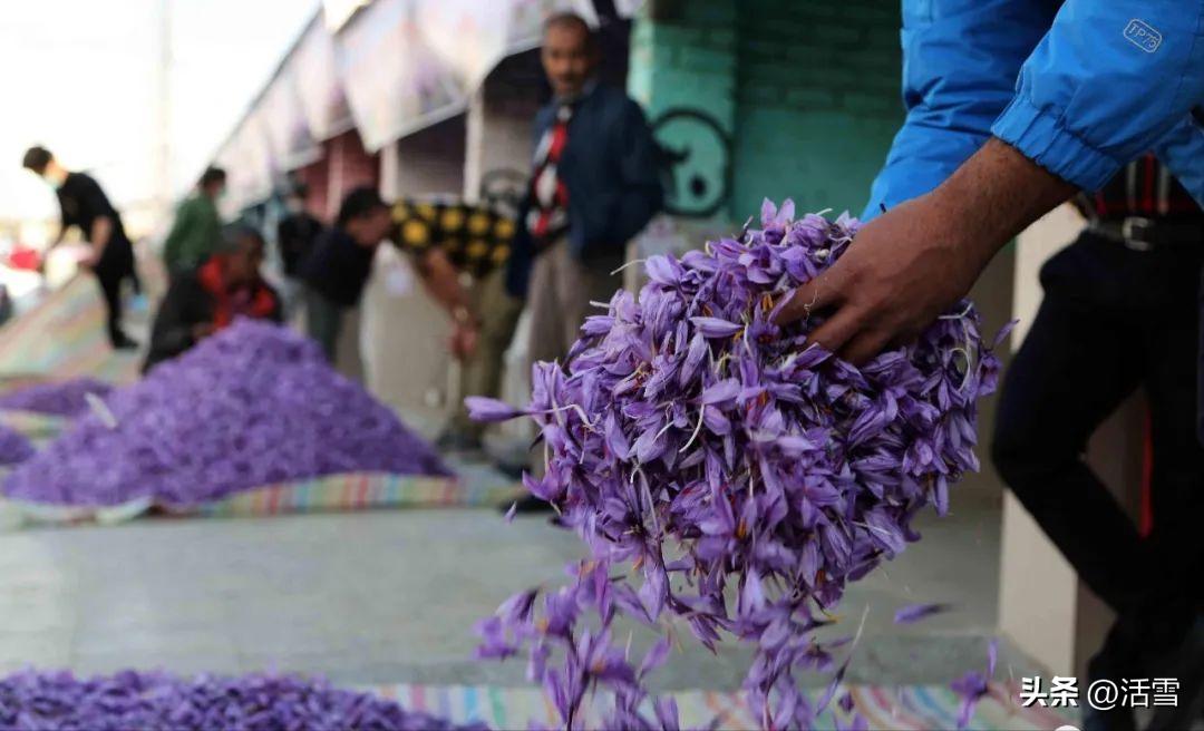 伊朗藏红花精品藏红花,藏红花主要产自哪国