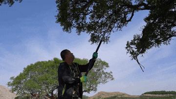 央媒网友热议,央媒密集关注点赞福建