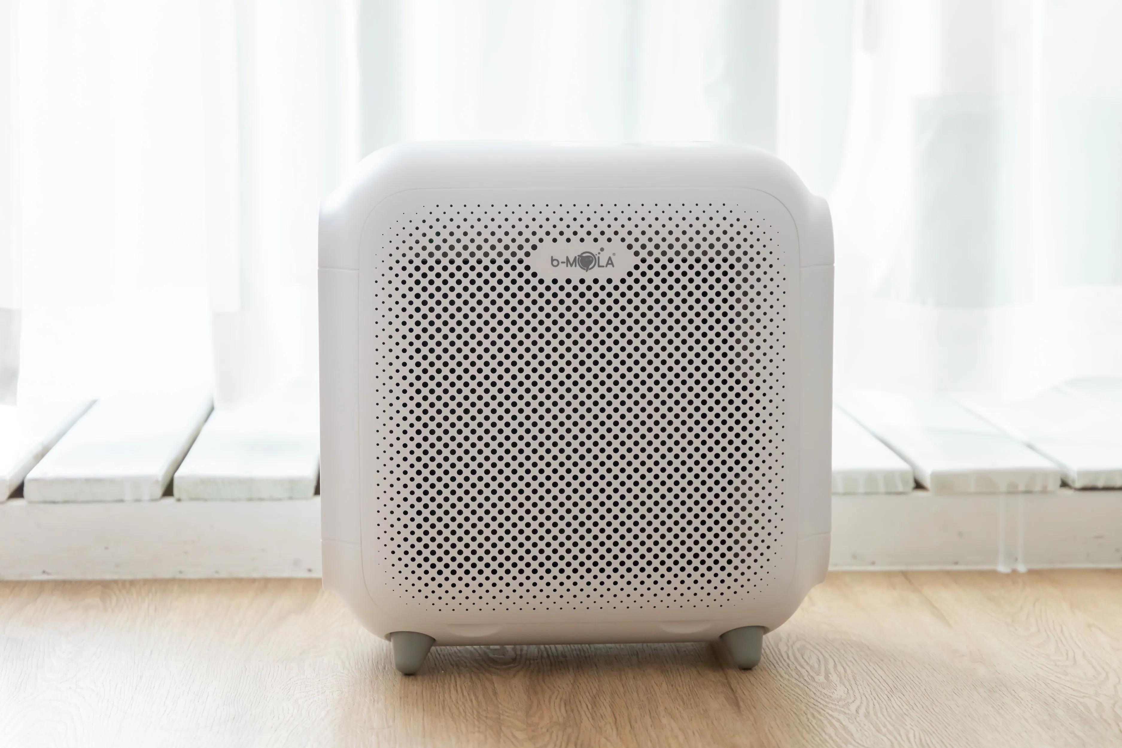 养猫家电收纳箱怎么选合适,养猫家庭除毛必备电器