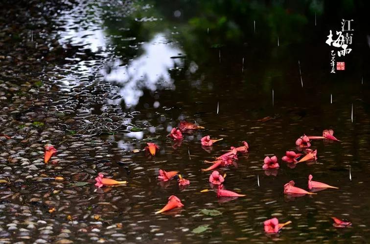 「新梦文学」同题专刊：东边日出西边雨】