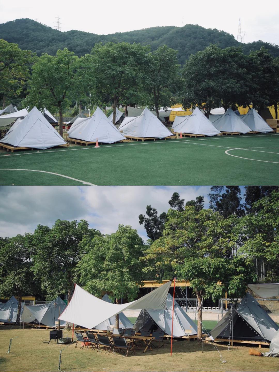 闽山闽水物华新,闽山闽水物华新在师生中引热议