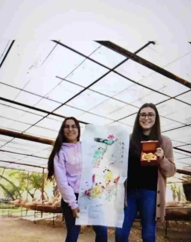 葫芦王字画,葫芦王书法