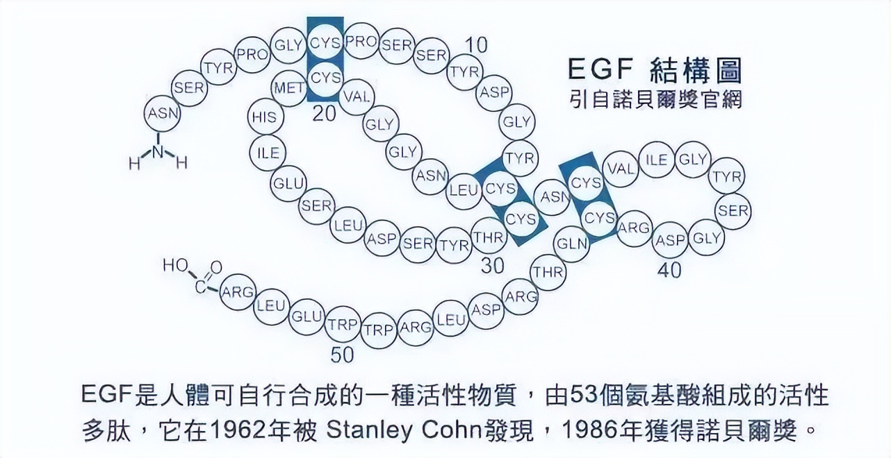 女人喝羊奶粉的好处和功效,全脂羊奶粉的好处和功效