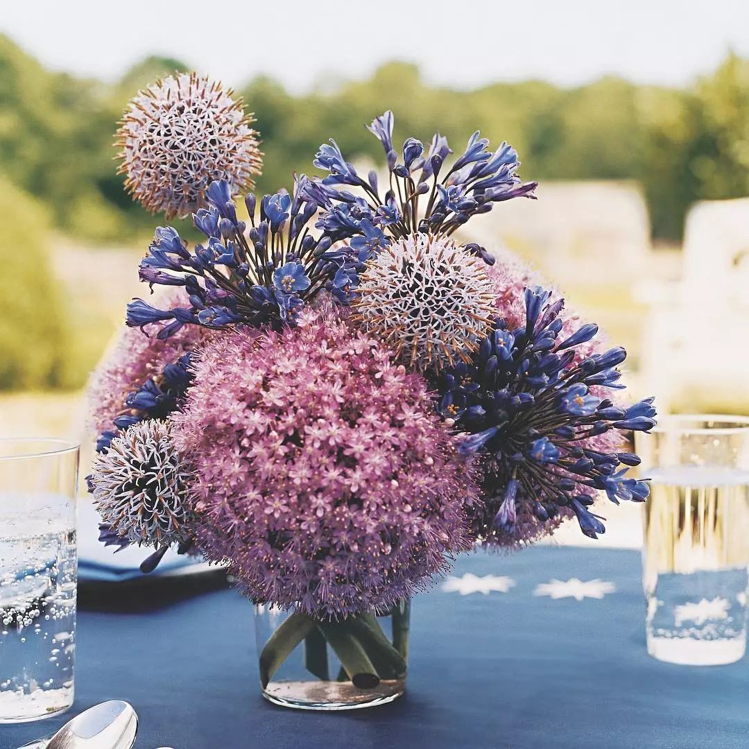 闀垮緱鍍忚冻鐞冧竴鏍风殑妞嶇墿,鍜岃冻鐞冩湁鍏崇殑妞嶇墿