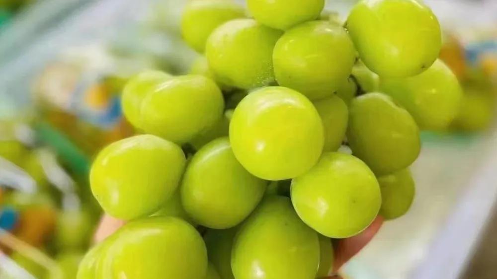 开一家水果店需要注意哪些,开水果店都要做哪些准备