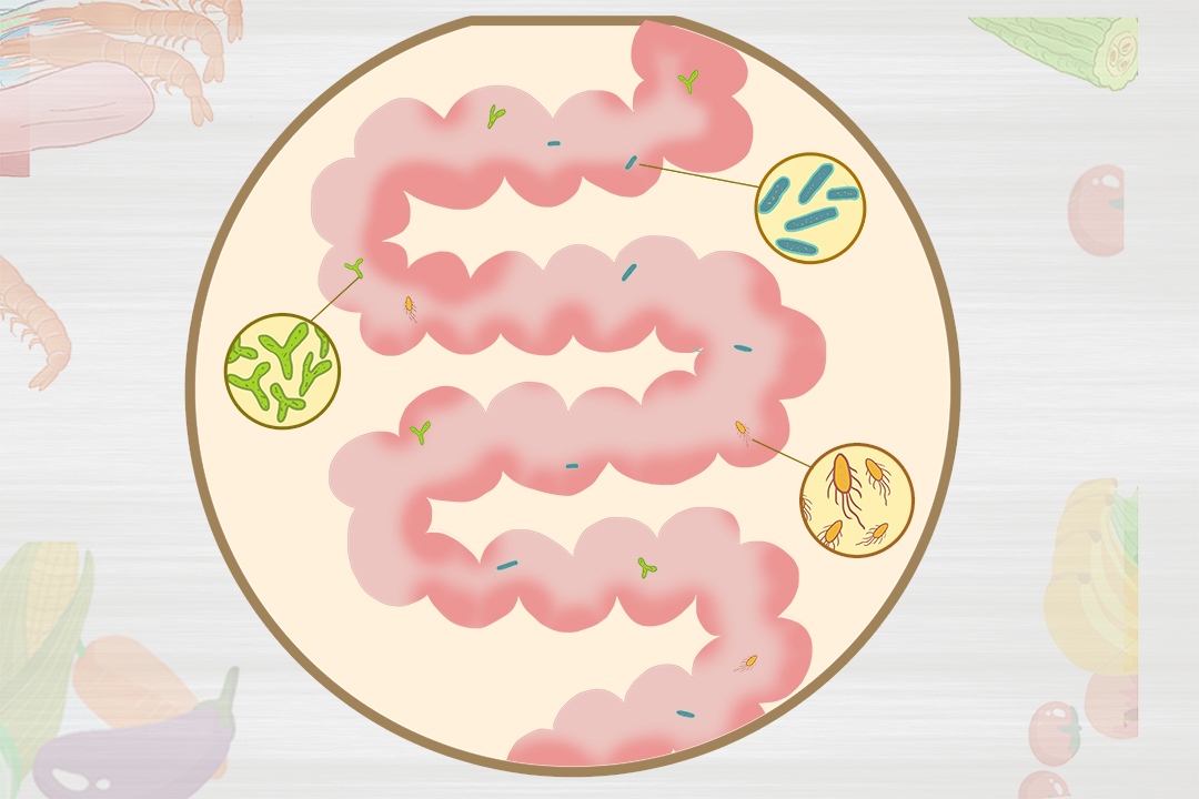 肠道菌群失调的表现有什么症状,肠道菌群失调的表现有哪些症状