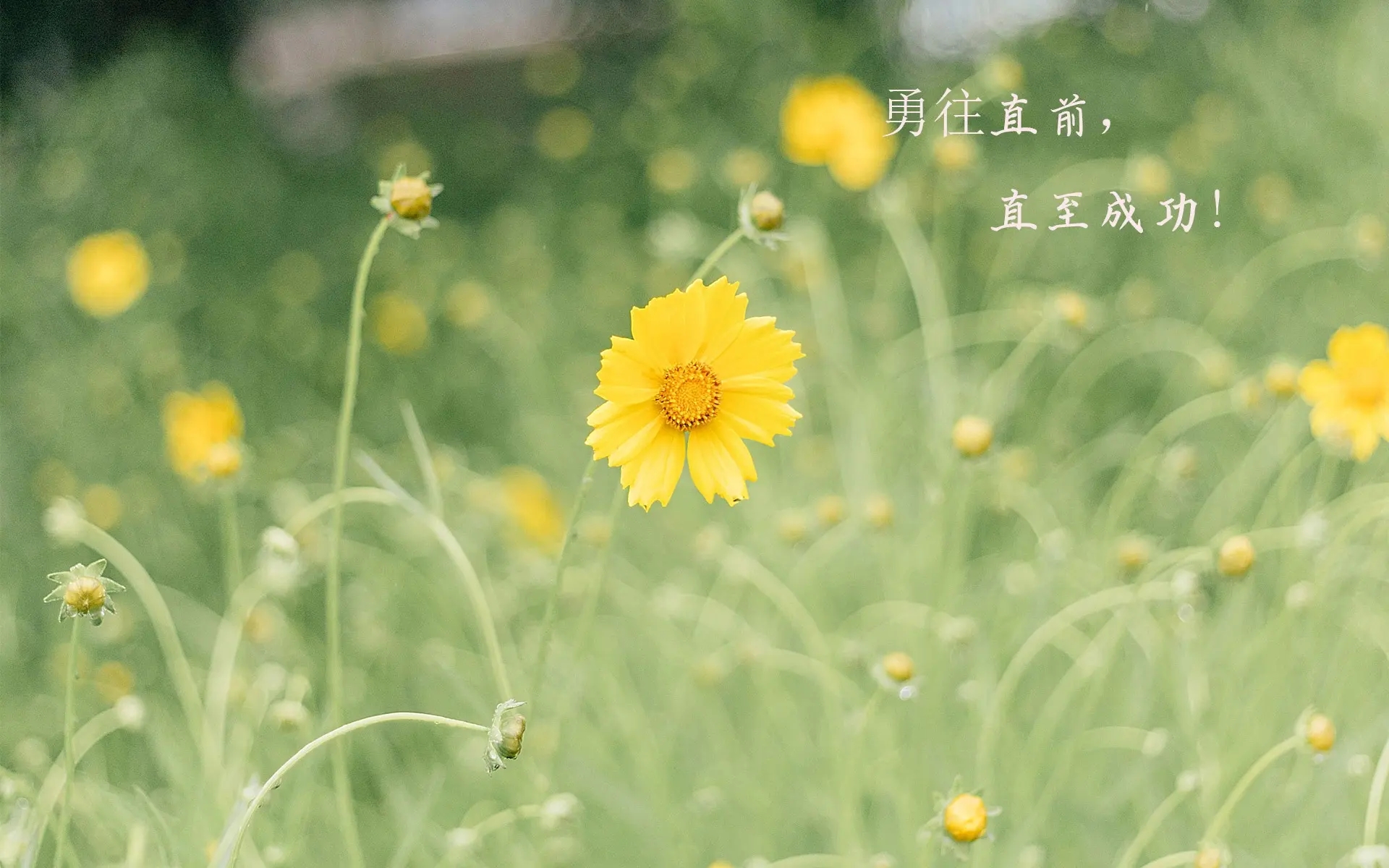 励志名言古诗短句精辟,三条励志的名言警句古诗词