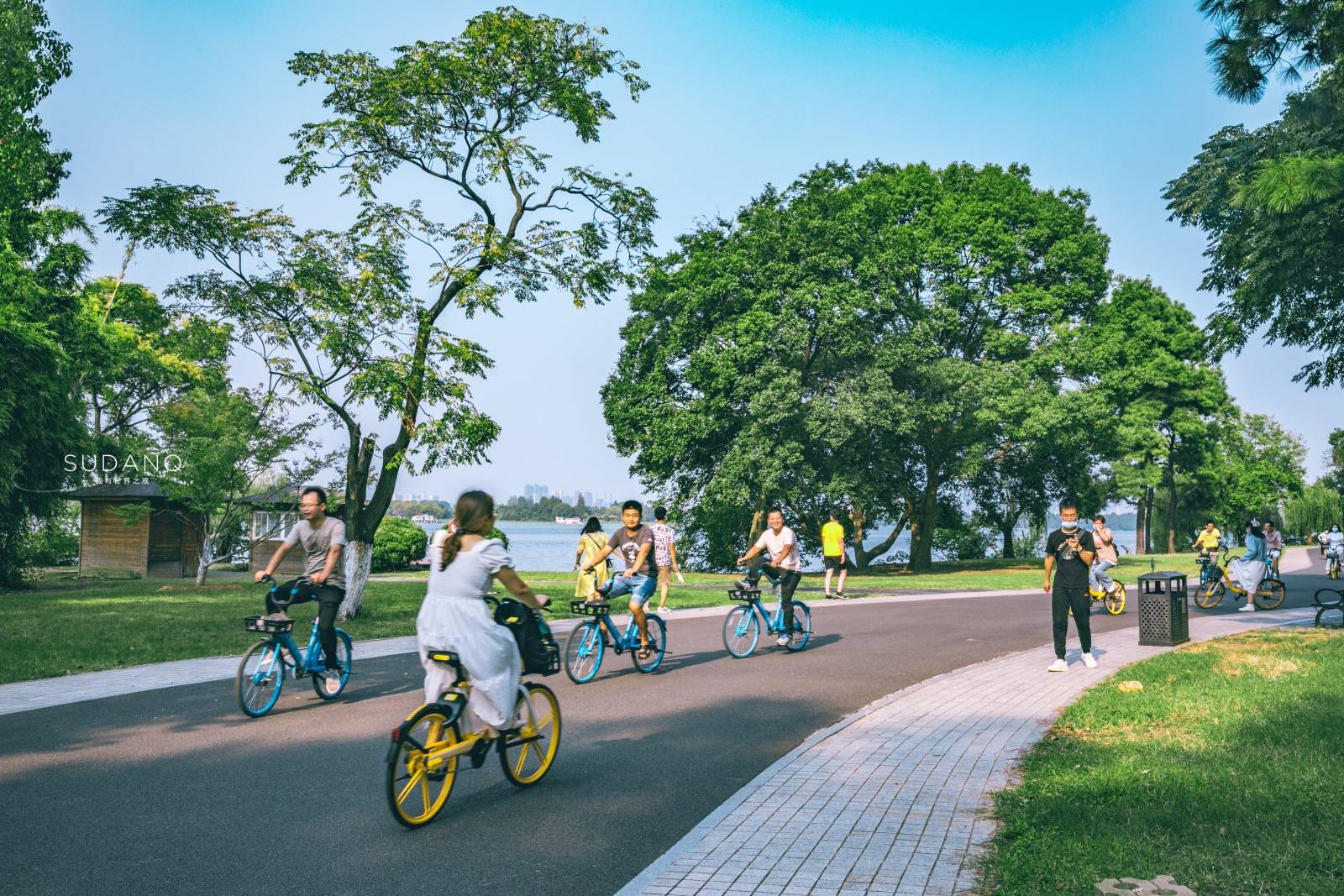 情人节专场，每一个都不想错过！武汉市区有哪些“爱情胜地”呢？