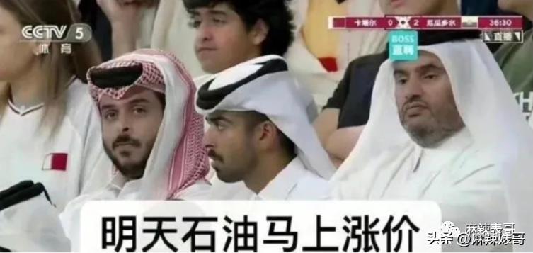 金晨模仿卡塔尔小王子自拍,金晨模仿卡塔尔王子自拍引热议