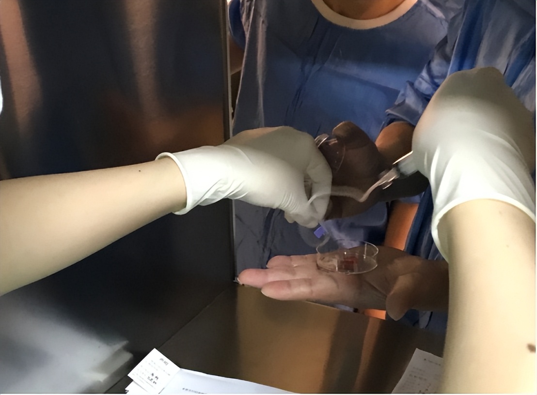 女大学生贪慕虚荣被骗,女大学生贪慕虚荣以为真爱