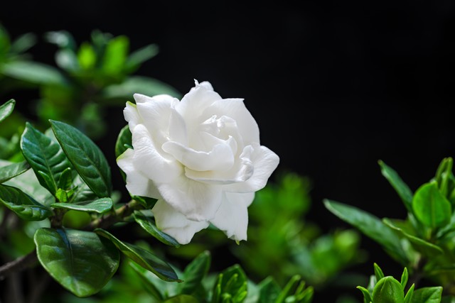 大姨妈来了能肛检吗,大姨