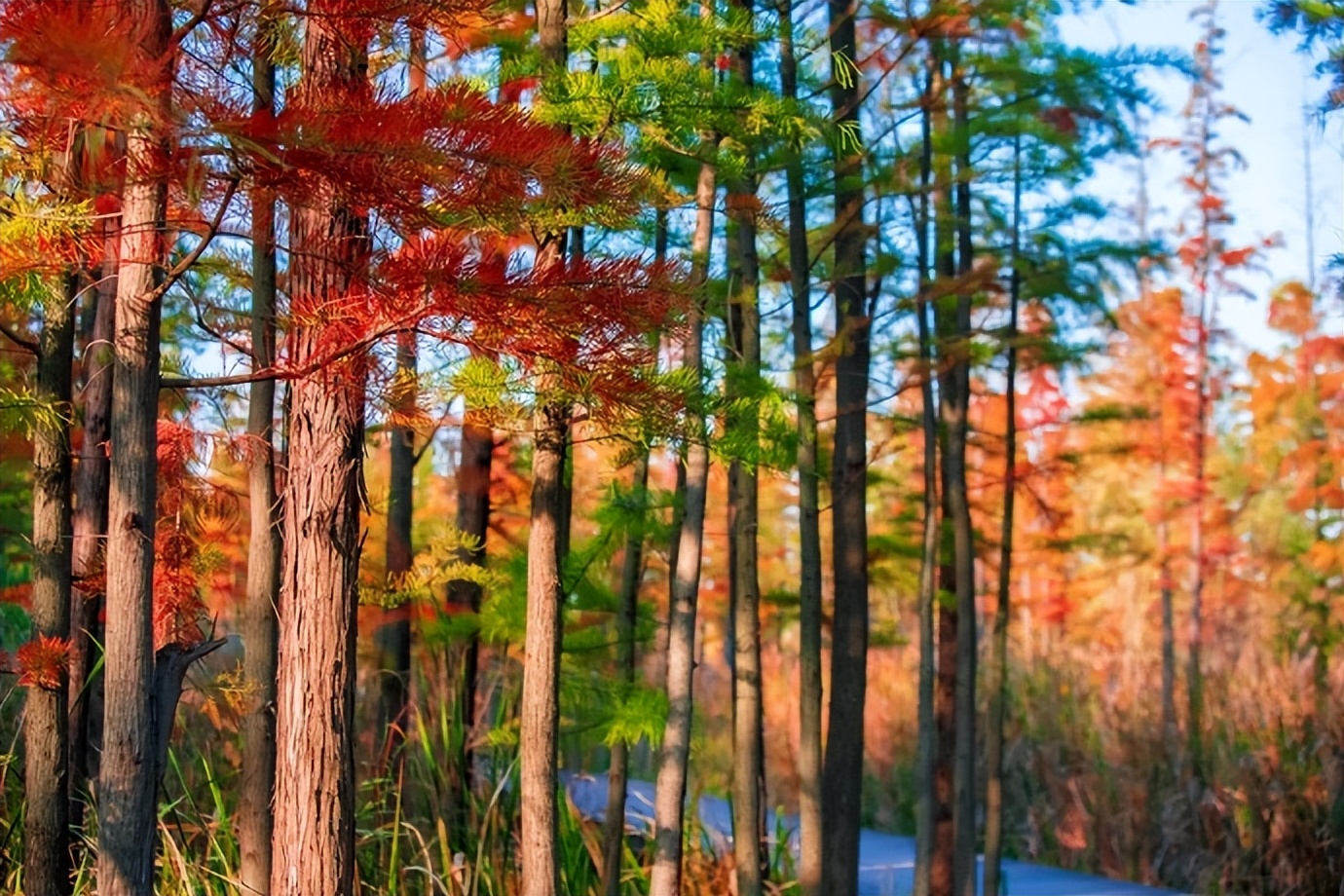 人到五十岁后，发现生儿子和女儿，太不一样了