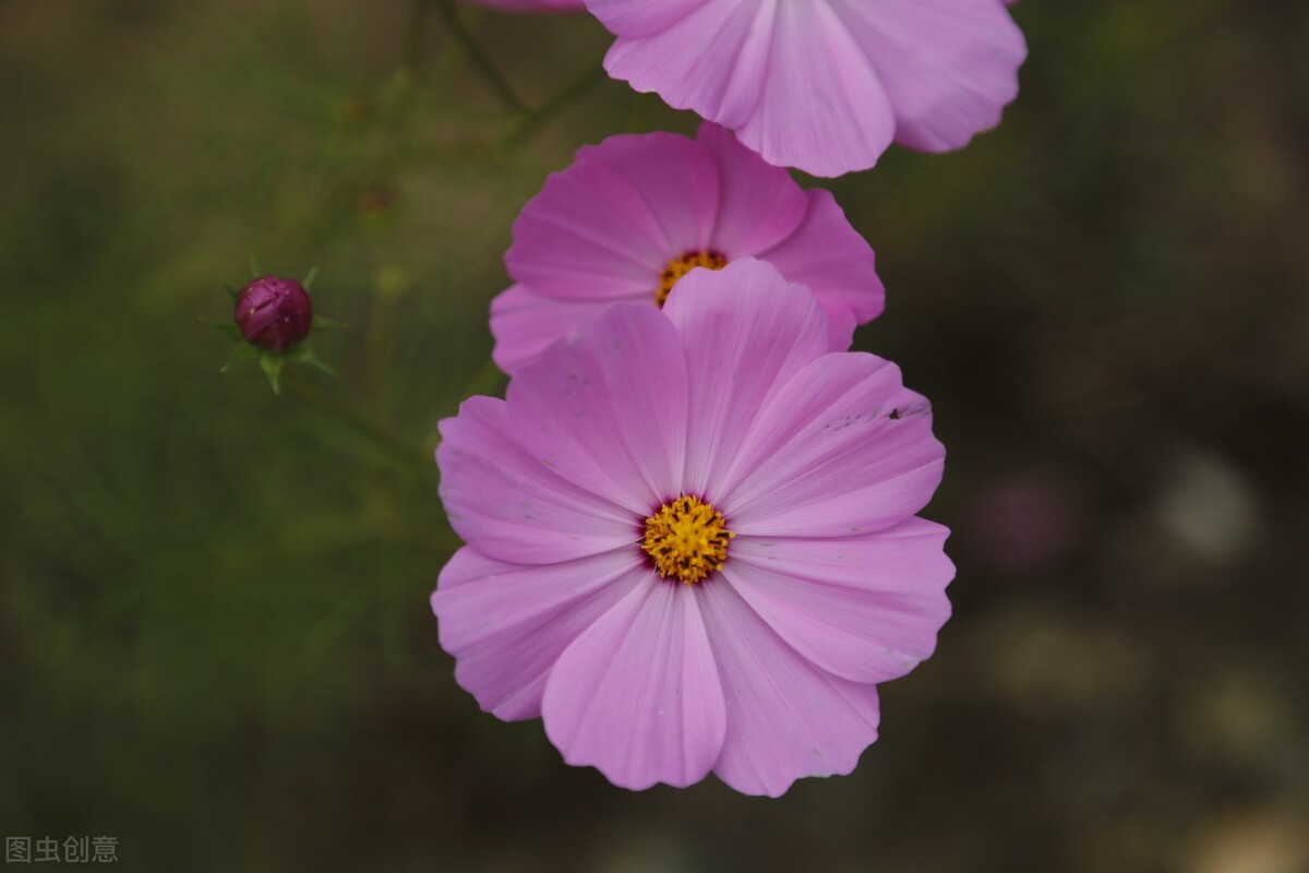 三教九流中的三教和九流是啥意思,诸子百家三教九流是哪三教哪九流