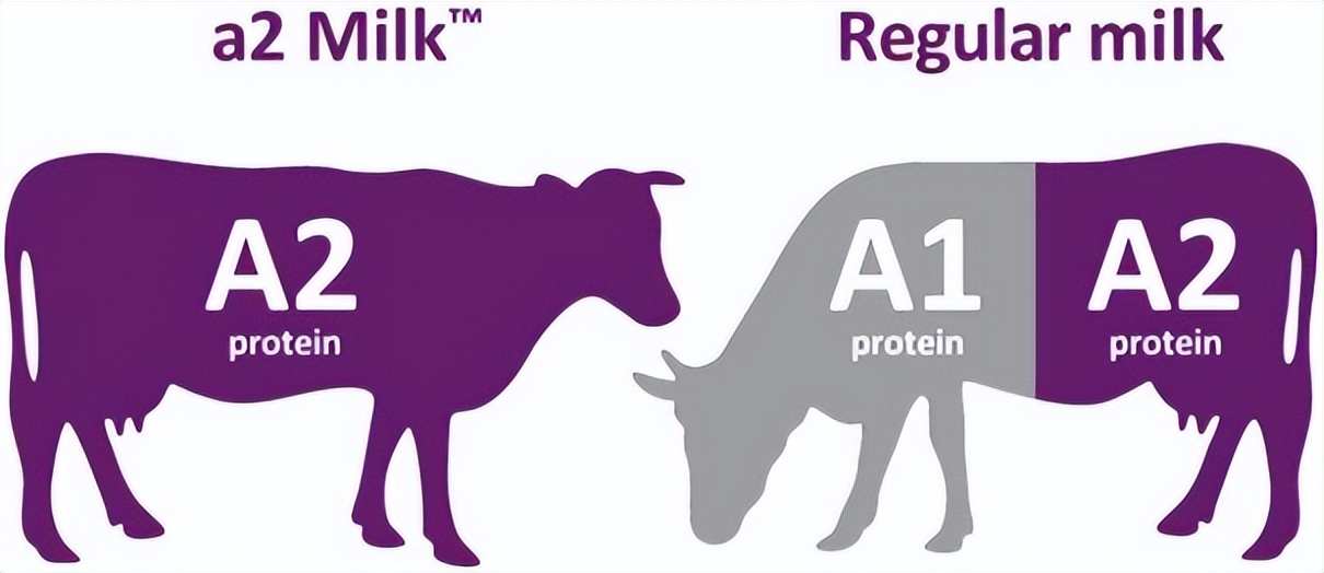 a2至初和金领冠珍护4段哪个好,a2至初和金领冠珍护铂萃三段对比