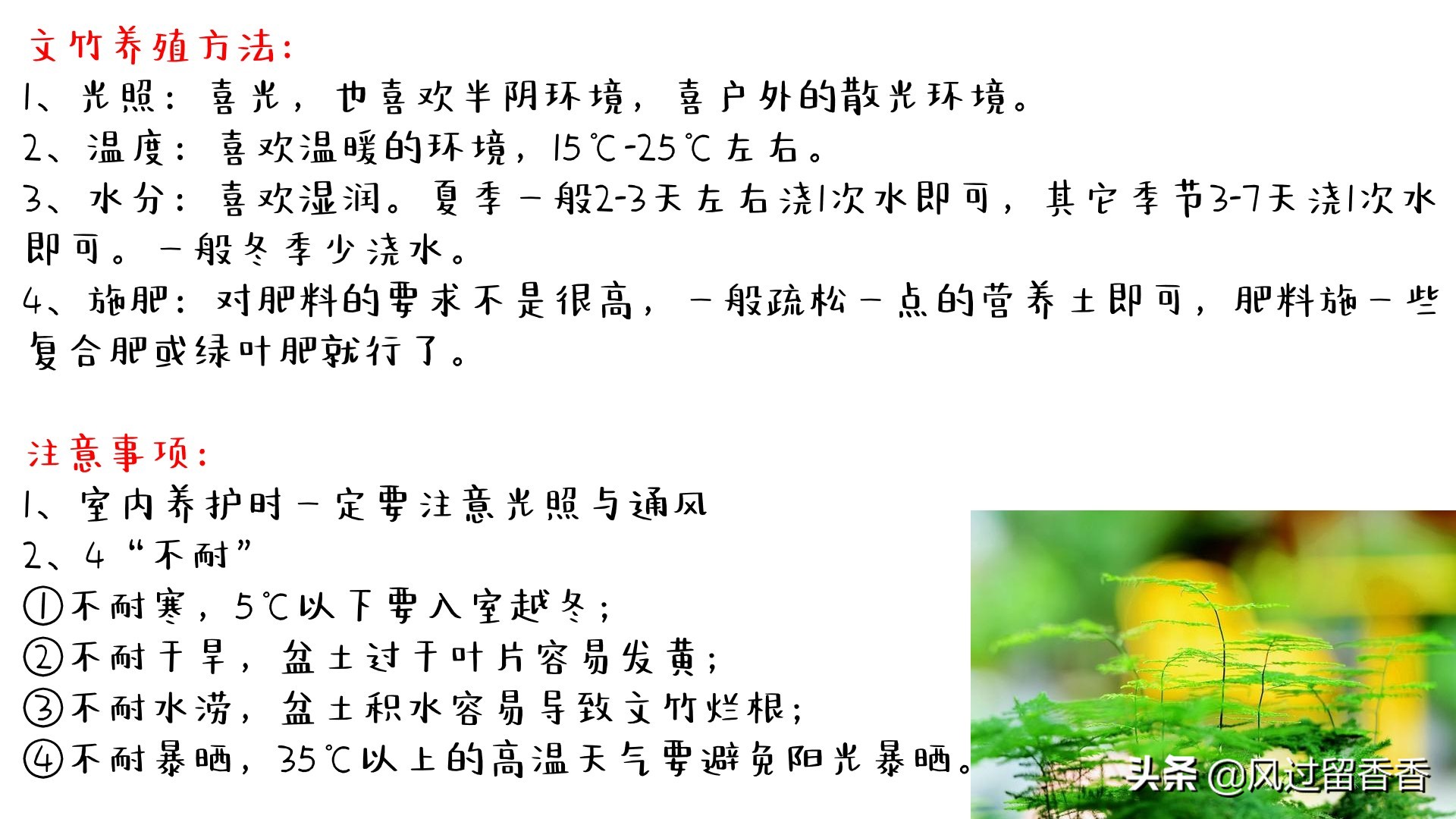 阳台养花教程推荐,阳台养花教程新手入门