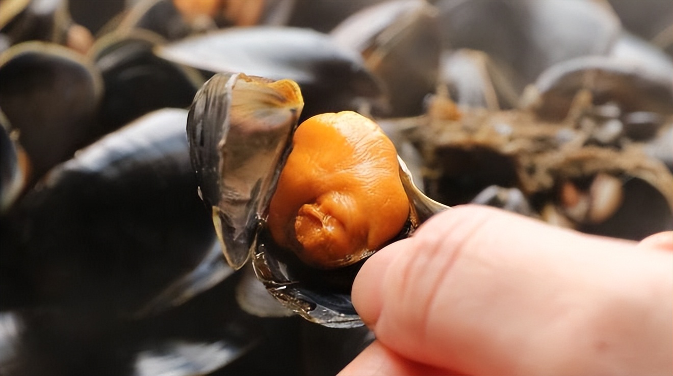 菠菜怎么做能起到养肝明目功效,春食菠菜好处多滋阴润燥