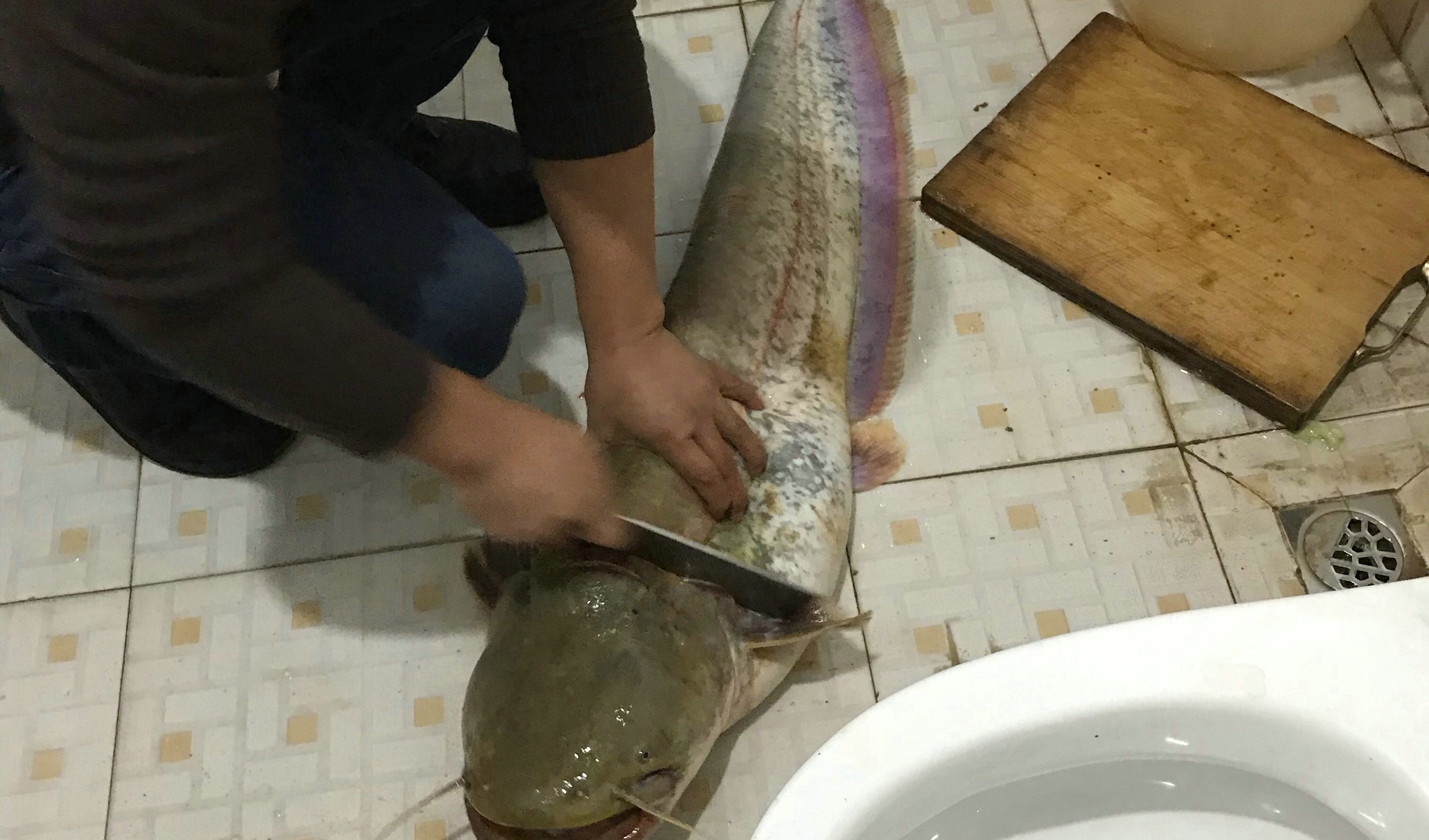 废弃停车场变鱼塘,深圳车库积水变鱼塘