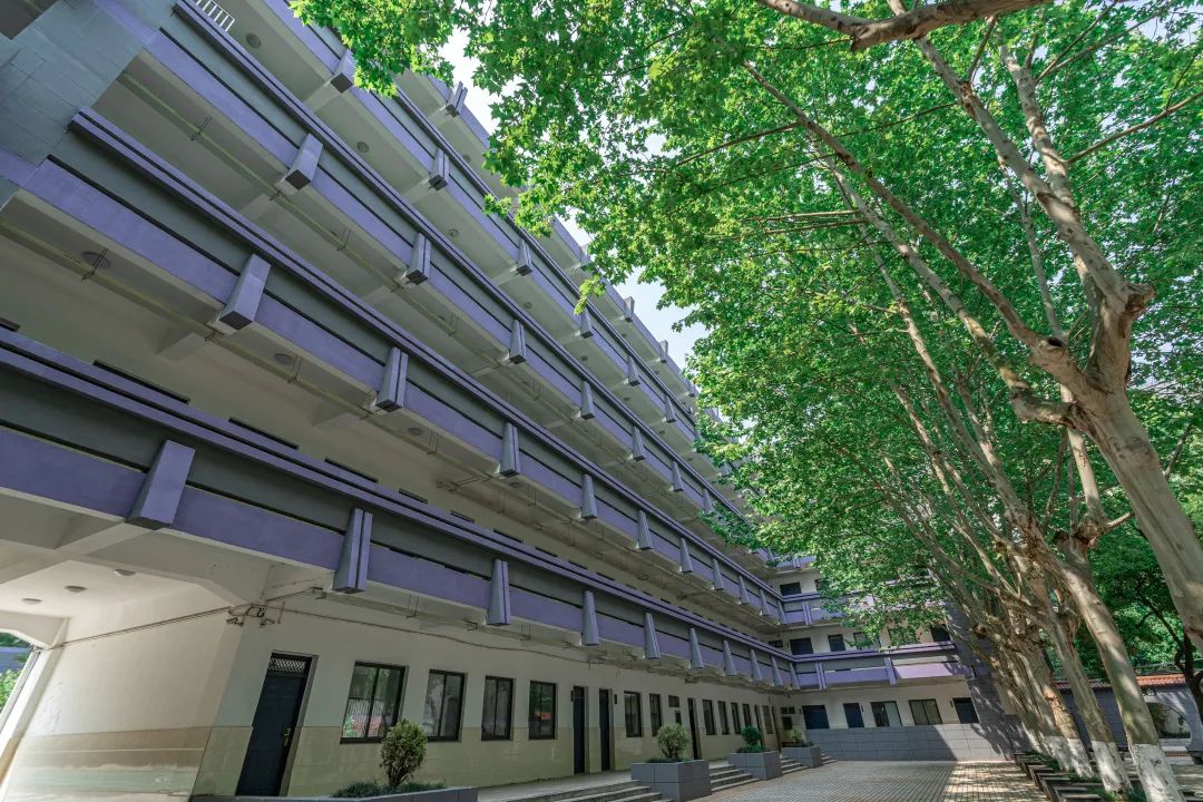 南京比较强的高中,南京厉害的高中