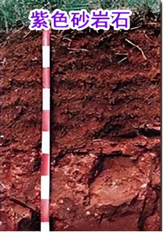 97年香港回归赖茅2斤装纪念酒,97香港回归纪念版赖茅2斤装