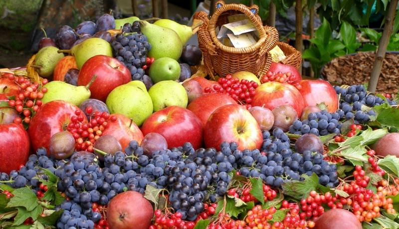 什么水果润嗓降火,润嗓润肺的水果