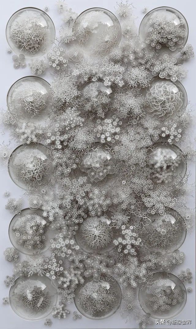 一组纸艺作品,令人惊艳的纸艺作品