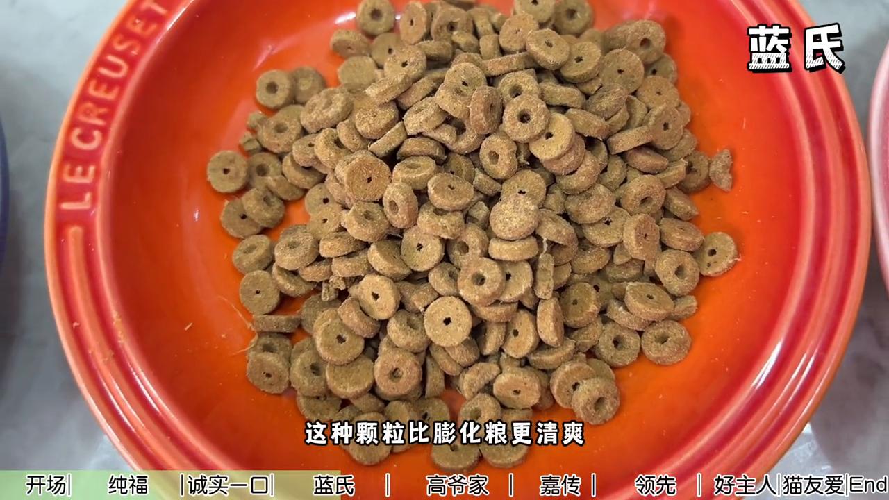 这次我们邀请团队9只猫咪一起参与猫粮测评