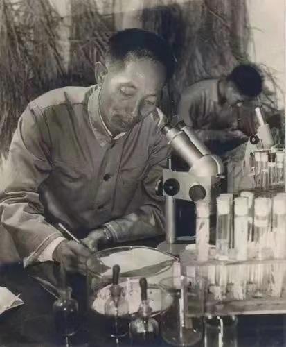 袁隆平年轻时的故事,袁隆平年轻时代