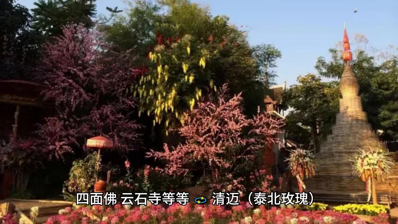 泰国芭提雅男人必去的地方,泰国必游旅游景点