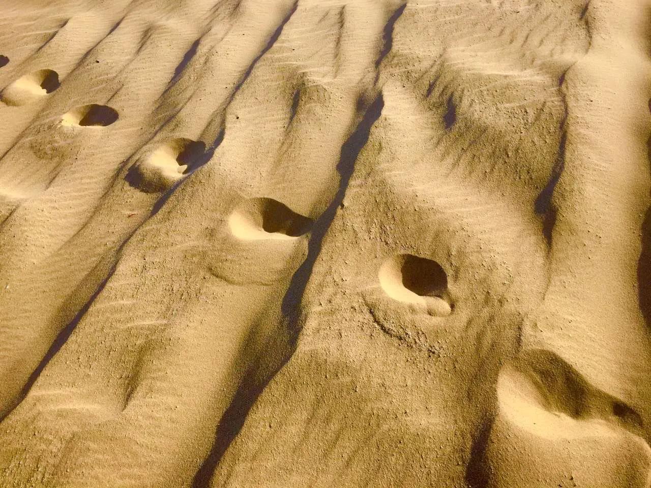 真实的卡塔尔长这样，一半沙漠一半海水