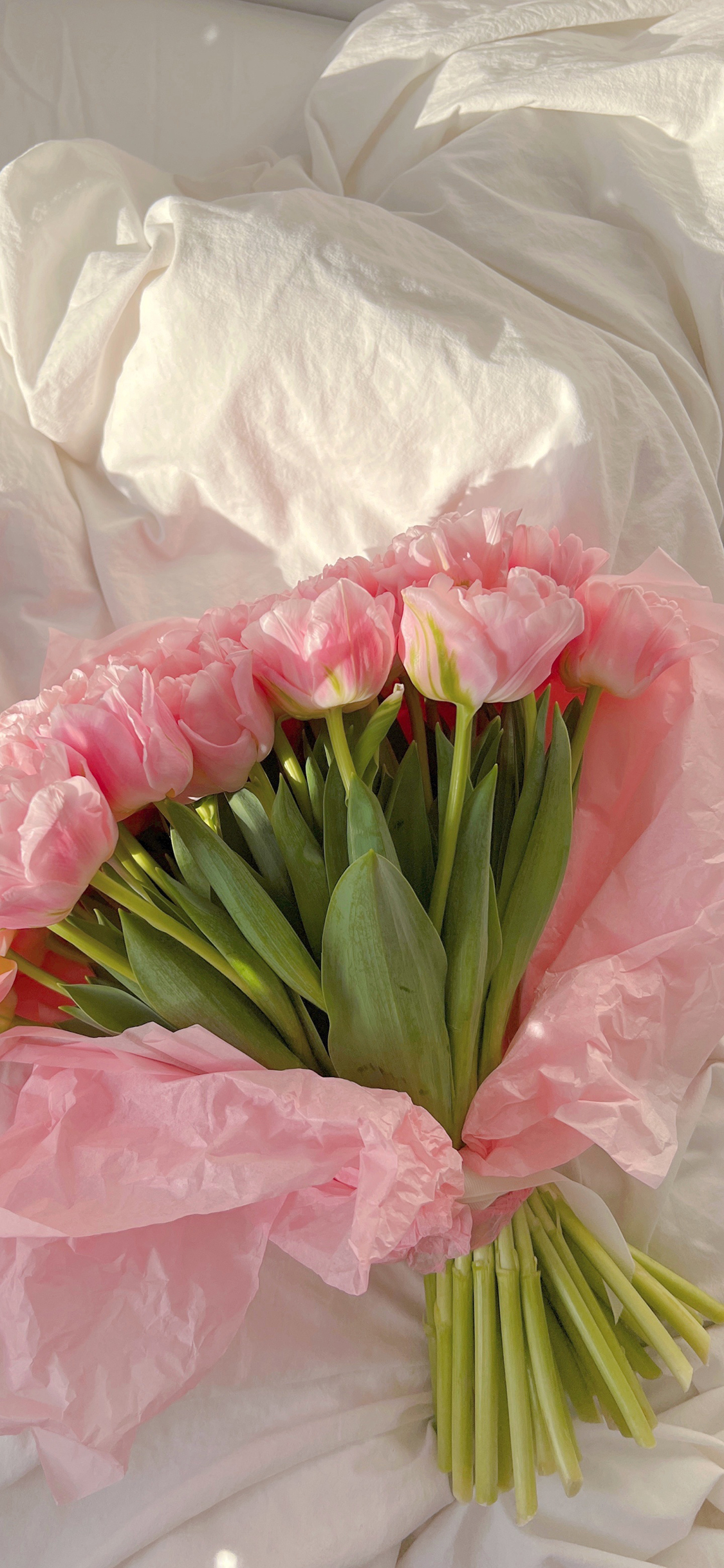 超大尺寸二次元壁纸,李沁超大尺寸全屏壁纸