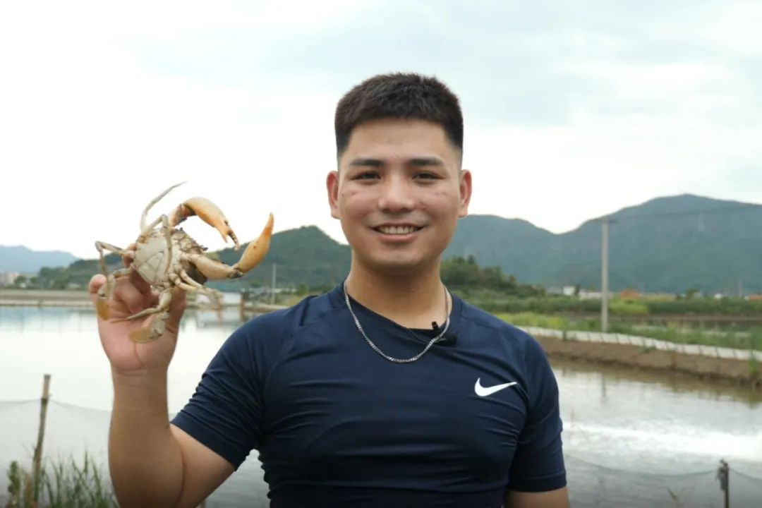 吃海鲜长大、长八块腹肌，三门青蟹“爬”上拼多多超级农货节