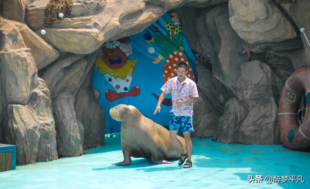 大连老虎滩和老虎滩极地海洋公园,老虎滩极地馆和老虎滩海洋公园