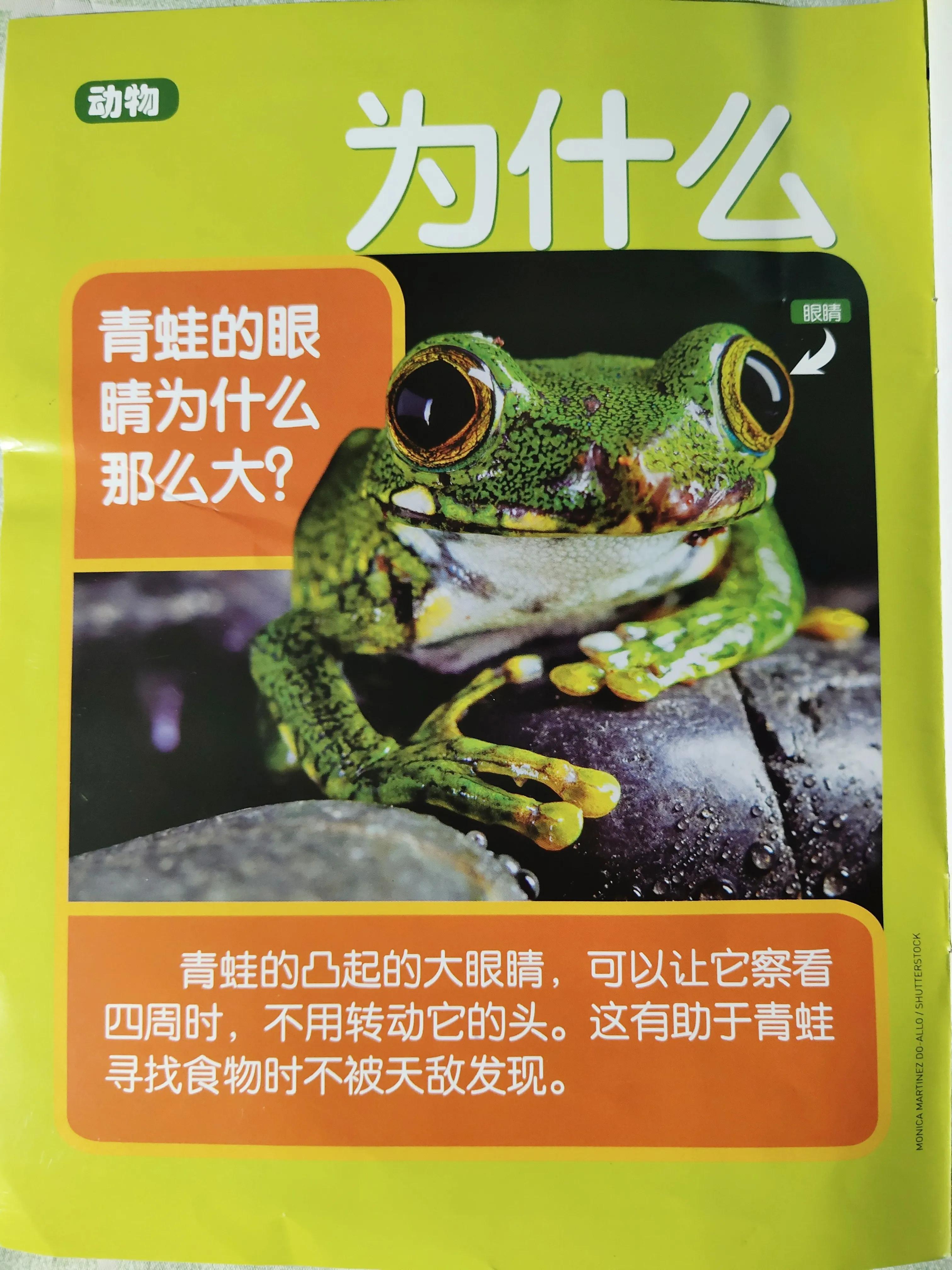 环球少年地理少年版适合多大孩子,环球少年地理阅读收获