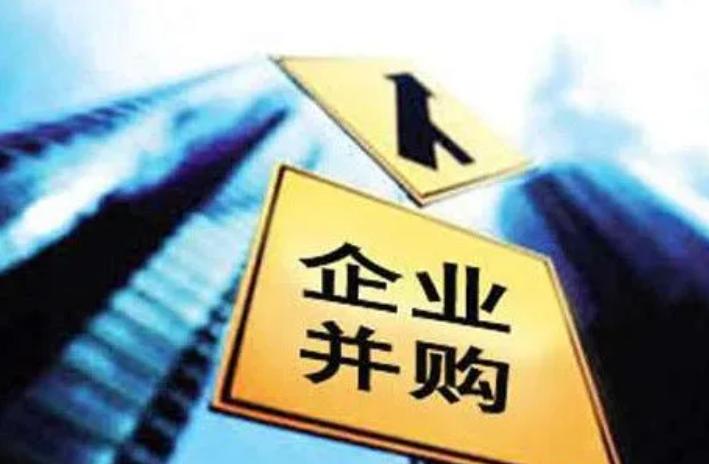 试述并购战略的特点和动因,互联网企业并购一般存在哪些问题