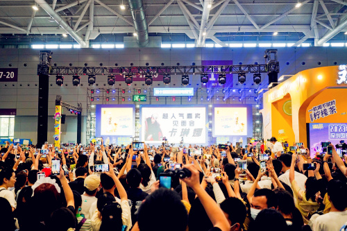 深圳国际电玩节基本公告,深圳国际电玩节暨动玩嘉年华