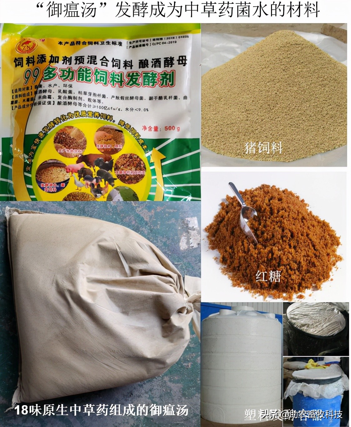 首席畜牧师-中药在防非瘟方面的成功案例分享与经验总结