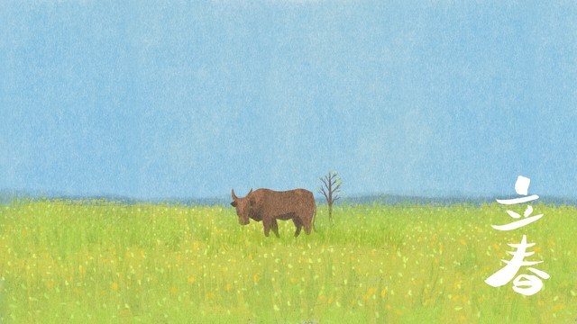 2023年兔是白兔还是黑兔,2023年黑兔好吗