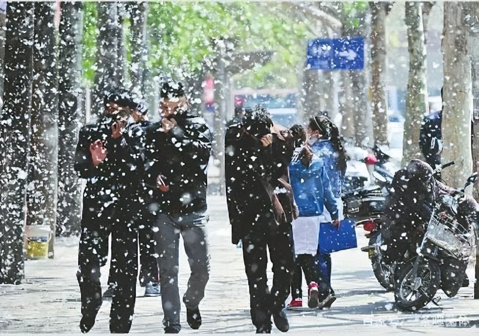杨絮危害有哪些,漫天杨絮有危害吗