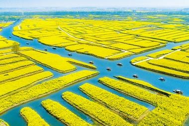 农业技术发展现状中的不足,现代农业技术发展现状和前沿