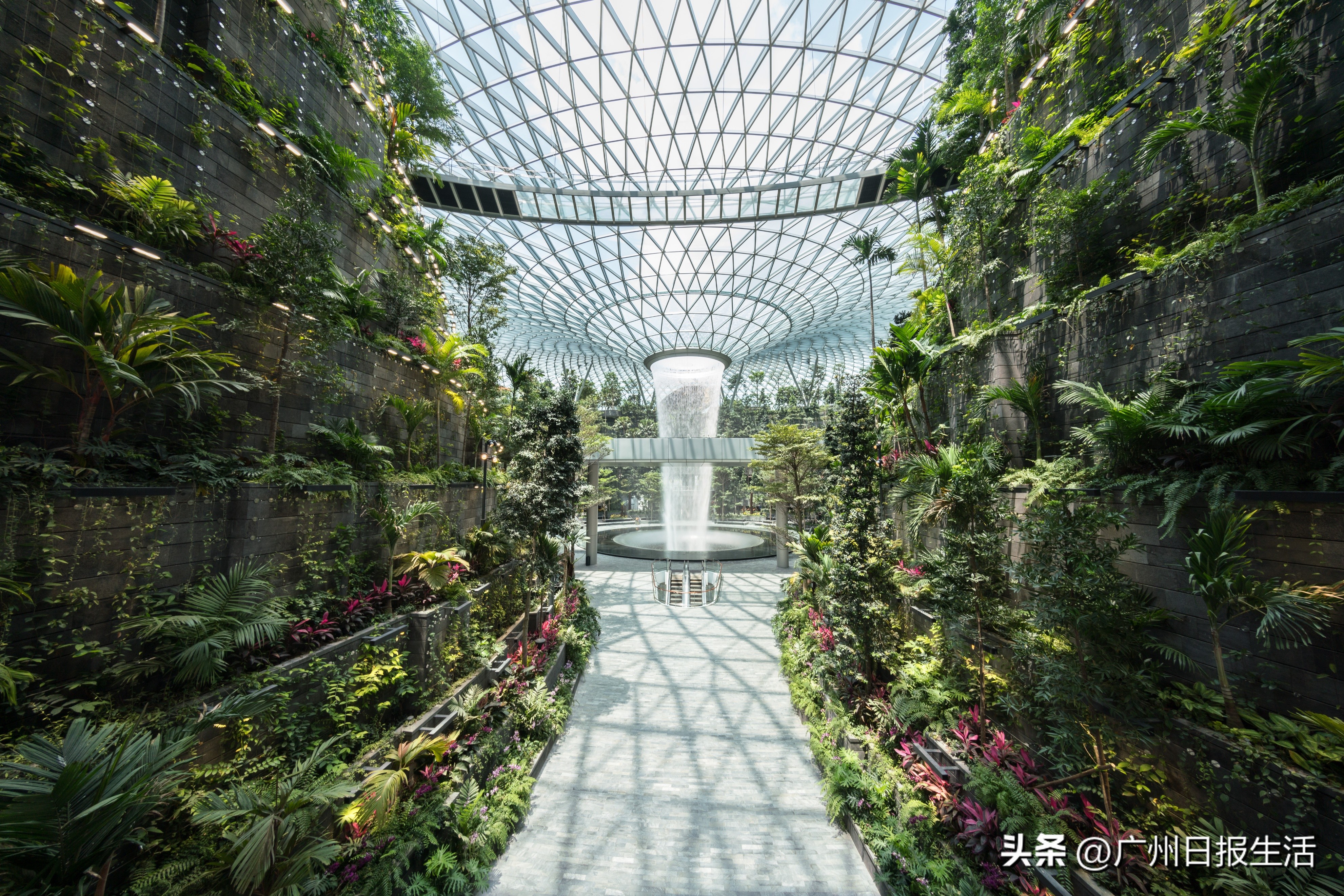 鎵撻鐨勫幓閲嶅簡寰掓涓夊场涔嬪穮,鎵撻鐨勫幓鐪嬫捣