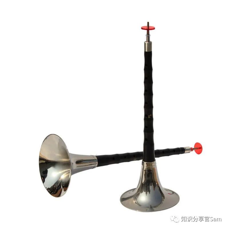 学音乐乐器的基础入门教程,音乐爱好者学的简单乐器