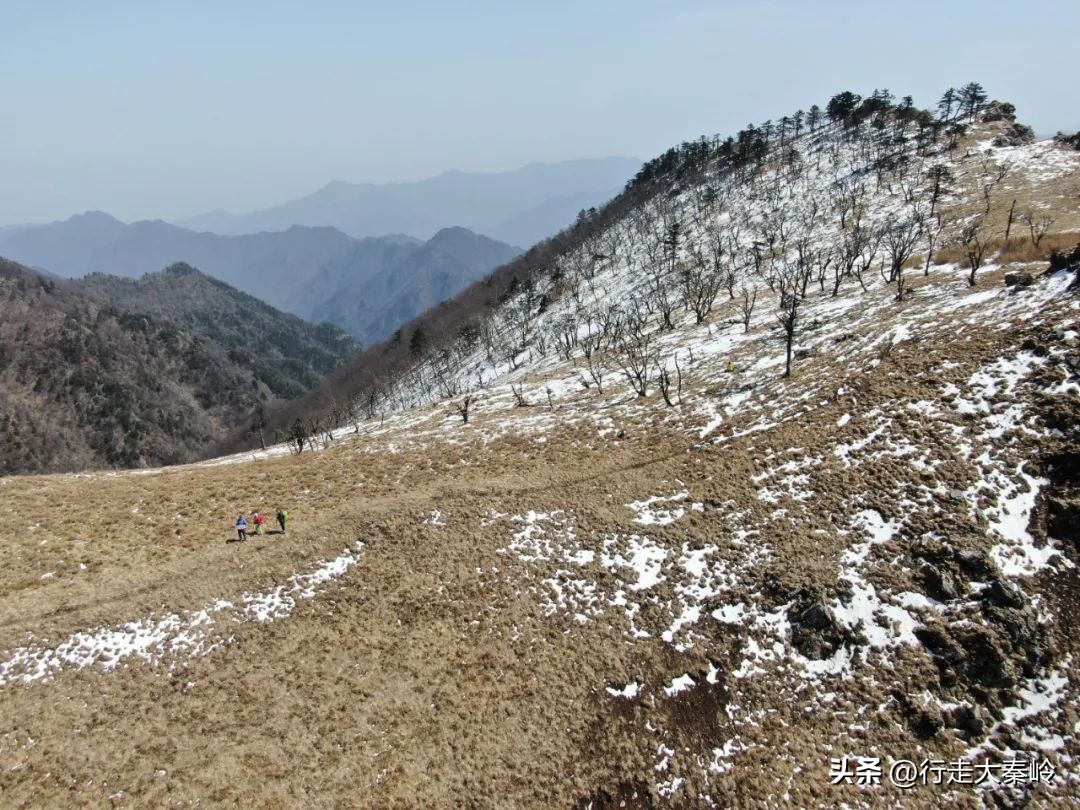 首阳山穿越大坪梁景色怎么样,大坪梁穿越到首阳山攻略