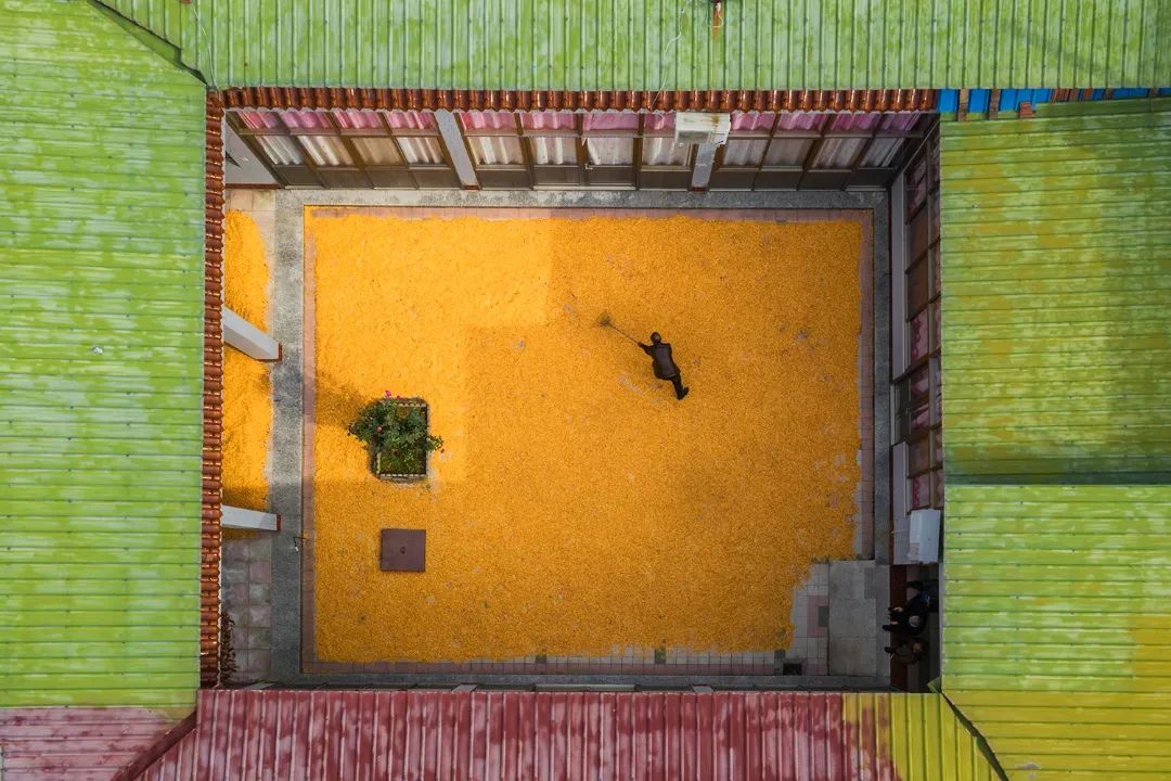 迎接党的20大美术作品,喜迎二十大乡村摄影展