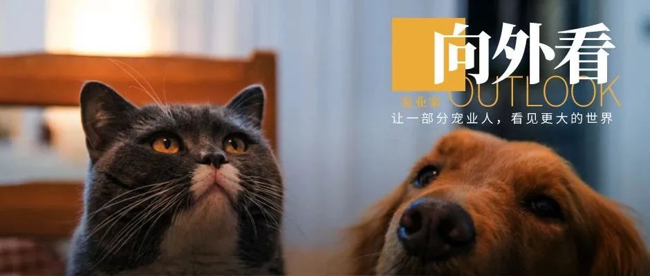 京东双12招商规则;天猫国际全球直播联盟成立;丨向外看