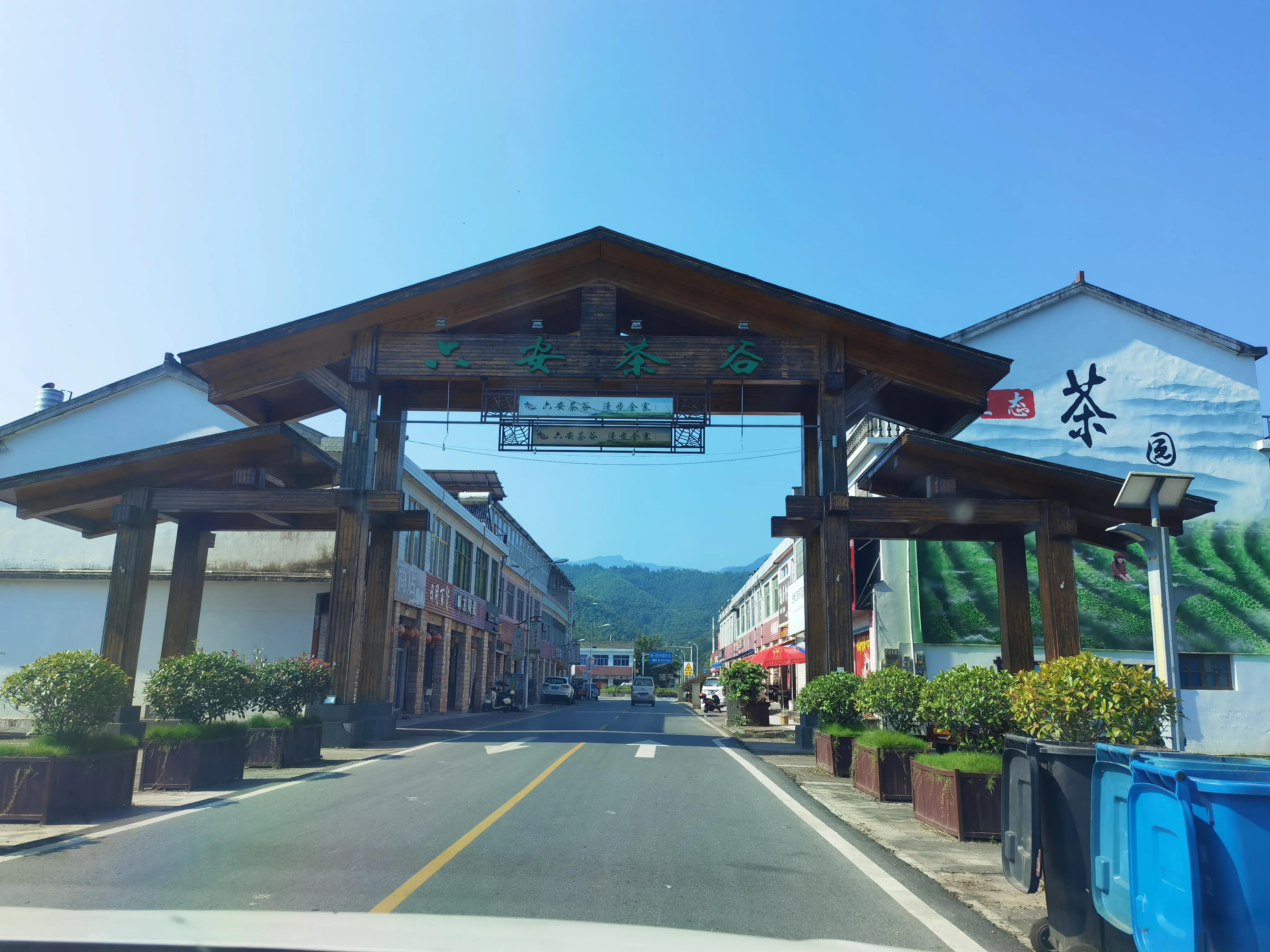 不斋,寻茶记六安瓜片