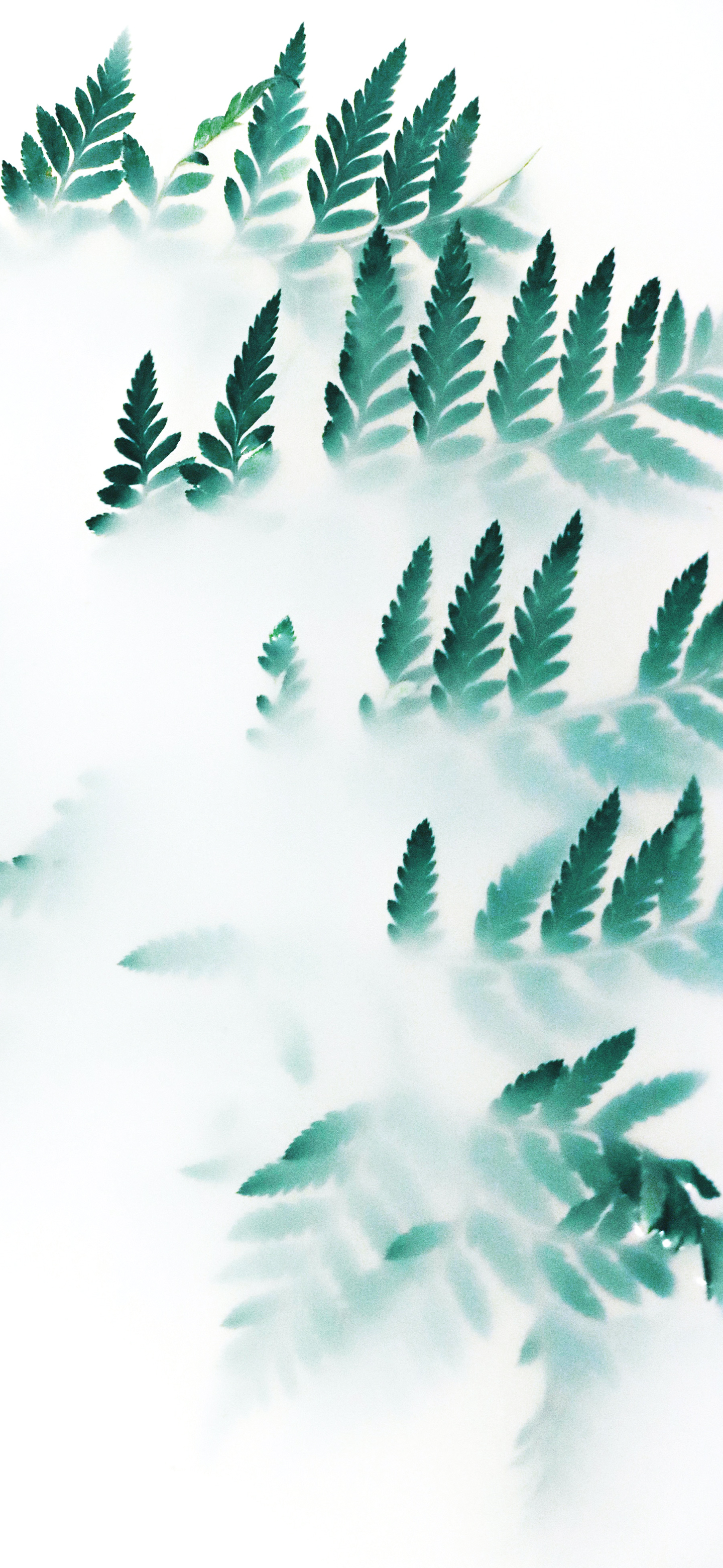 绿色全屏8k裸眼5d壁纸植物,绿色植物图片唯美高清壁纸