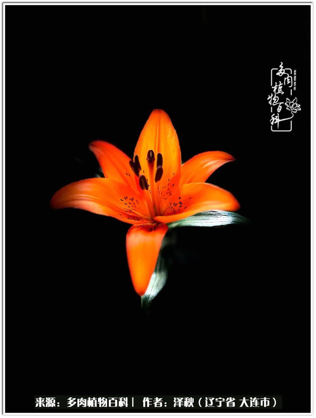 四季轮回之秋天,四季轮回之冬季