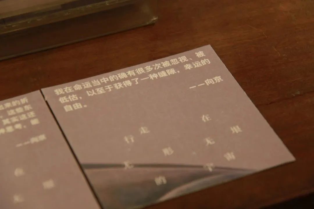 11月最值得看的10本好书,6本值得一看的好书