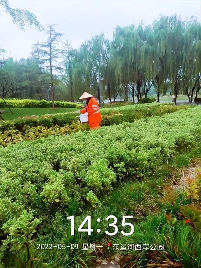 12月份园林绿化养护工作重点,元月份园林养护重点工作